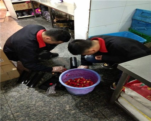 北京通州区食品厂灭臭虫服务全解析 专业除虫与公关策略